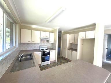 House For Lease - NSW - Old Bar - 2430 - Backing A Reserve  (Image 2)