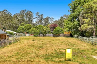 Residential Block For Sale - VIC - Noojee - 3833 - Titled Block  (Image 2)