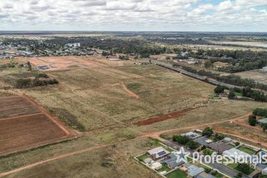 Residential Block For Sale - NSW - Buronga - 2739 - Attention Developers & Investors  (Image 2)