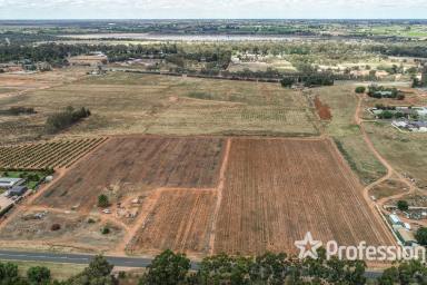 Residential Block For Sale - NSW - Buronga - 2739 - Attention Developers & Investors  (Image 2)