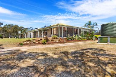 House Sold - VIC - Maryborough - 3465 - 24.73HA (61.10 Acres) Well Appointed & Spacious Family Home  (Image 2)