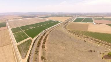 Other (Rural) For Sale - NSW - Bilbul - 2680 - IRRIGATION FARM MINUTES FROM CBD - SALE or LEASE  (Image 2)