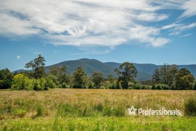 Residential Block Sold - VIC - Yarra Junction - 3797 - ALMOST 20 ACRES OF PERFECTION!  (Image 2)