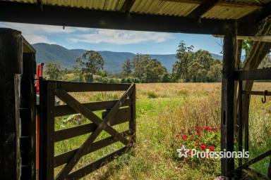 Residential Block Sold - VIC - Yarra Junction - 3797 - ALMOST 20 ACRES OF PERFECTION!  (Image 2)