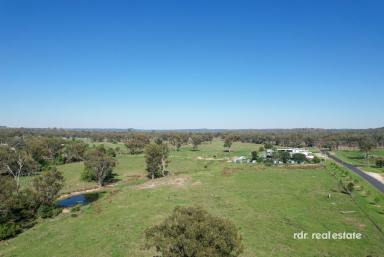 Residential Block For Sale - NSW - Ashford - 2361 - ESCAPE TO THE COUNTRY  (Image 2)