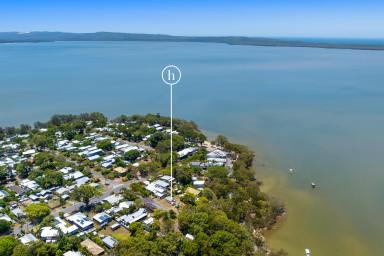 House Sold - QLD - Boreen Point - 4565 - Lakeside Paradise: Embrace Tranquillity on the Esplanade at Boreen Point, Noosa Hinterland  (Image 2)