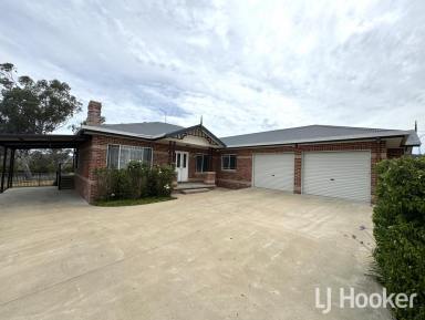House Leased - NSW - Inverell - 2360 - Spacious near new home in fantastic location  (Image 2)