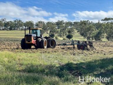 Mixed Farming For Sale - NSW - Warialda - 2402 - Grain & Livestock belt of North West NSW 
A Canvas of Endless Possibilities... Approx. 803.6 Hectares [1985 acres]. Freehold.  (Image 2)