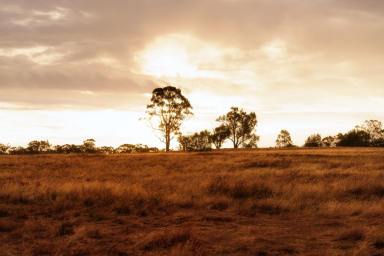 Residential Block For Sale - VIC - Axedale - 3551 - Rare Land Opportunity in Central Axedale  (Image 2)