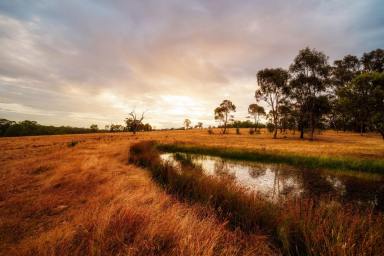 Residential Block For Sale - VIC - Axedale - 3551 - Rare Land Opportunity in Central Axedale  (Image 2)