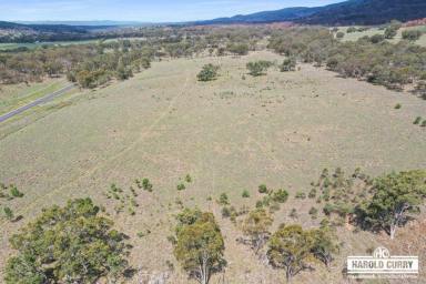 Lifestyle For Sale - NSW - Tenterfield - 2372 - 'Gibsons' - 90 Acres with Easy Access.....  (Image 2)
