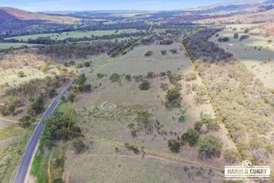 Lifestyle For Sale - NSW - Tenterfield - 2372 - 'Gibsons' - 90 Acres with Easy Access.....  (Image 2)
