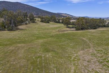 Residential Block For Sale - TAS - Orielton - 7172 - Unveil Your Dream: 37.6 Acres of Pure Potential Await in Orielton!  (Image 2)