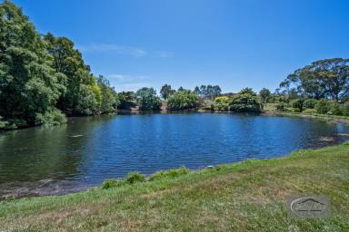 House For Sale - TAS - Smithton - 7330 - Exclusive Property within the Town Boundary with so many Features.  (Image 2)