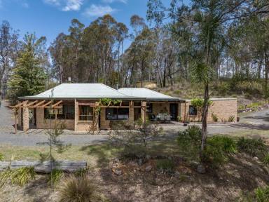 Acreage/Semi-rural For Sale - NSW - Coolagolite - 2550 - DISCOVER TRANQUILITY  (Image 2)