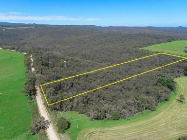 Lifestyle For Sale - VIC - Carlisle River - 3239 - Take the road less travelled...  (Image 2)