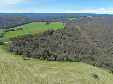 Lifestyle For Sale - VIC - Carlisle River - 3239 - Take the road less travelled...  (Image 2)