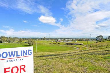 Residential Block Sold - NSW - Raymond Terrace - 2324 - LARGE VACANT LOT - 1033 SQM WITH RIVER VIEWS  (Image 2)