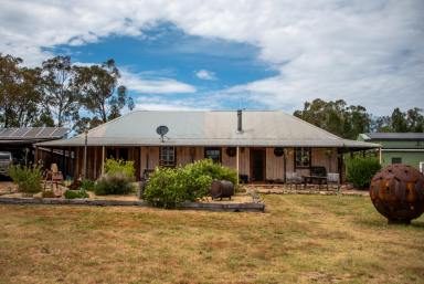 Farmlet For Sale - NSW - Camboon - 2849 - Lifestyle Oasis  (Image 2)