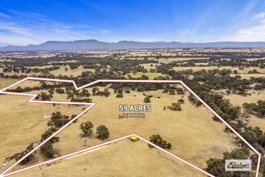 Other (Rural) For Sale - VIC - Norval - 3377 - 59 Acre Lifestyle Block - Minutes from Town - Grampians Views  (Image 2)
