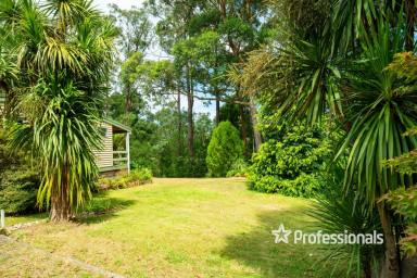 House Sold - VIC - Gladysdale - 3797 - NATURE LOVERS PARADISE  (Image 2)