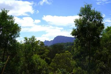 Lifestyle For Sale - NSW - Kyogle - 2474 - "MISTY MOUNTAIN VIEWS"  (Image 2)