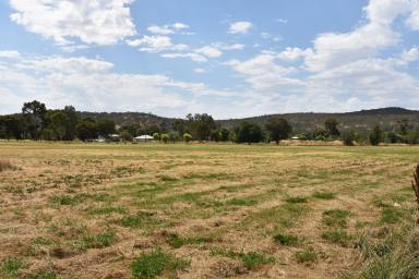 Residential Block For Sale - VIC - Eldorado - 3746 - WHAT'S YOUR PLAN?  (Image 2)