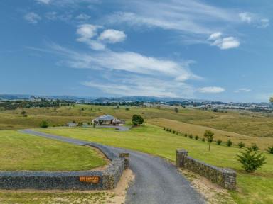 Acreage/Semi-rural For Sale - NSW - Candelo - 2550 - STUNNING VIEWS, BEAUTIFUL HOME, GREAT LOCATION!  (Image 2)