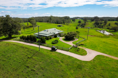 Lifestyle For Sale - QLD - Bellthorpe - 4514 - GRAND HINTERLAND ESTATE  (Image 2)