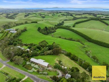 House For Sale - VIC - Foster - 3960 - Classic stone home with beautiful views  (Image 2)