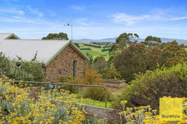 House For Sale - VIC - Foster - 3960 - Classic stone home with beautiful views  (Image 2)