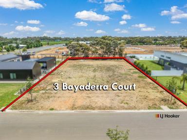 Residential Block For Sale - NSW - Moama - 2731 - Murray River Lifestyle!  (Image 2)
