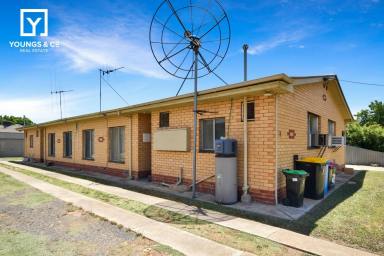 Flat For Sale - VIC - Shepparton - 3630 - 4 x 1 Bedroom Flats - Very Central Shepparton - Renovators!  (Image 2)