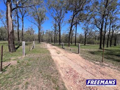 House Sold - QLD - Ballogie - 4610 - Fully fenced 39.58 acres, 20 m machinery shed & Steele from home.  (Image 2)