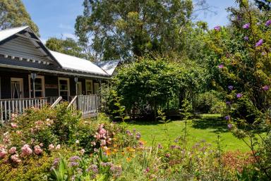 House For Sale - VIC - Forrest - 3236 - FORREST GUESTHOUSE - RESTAURANT, ACCOMMODATION & FAMILY HOME  (Image 2)