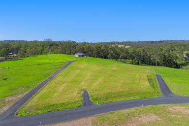 Residential Block For Sale - NSW - Dondingalong - 2440 - Exclusive Land Offering - Elevated, North-Facing Property!  (Image 2)