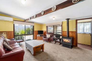 House Sold - VIC - Camperdown - 3260 - Comfortable and Centrally located Cottage  (Image 2)