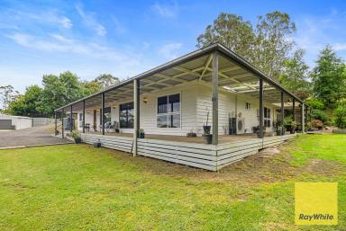 Acreage/Semi-rural For Sale - VIC - Foster - 3960 - Classic Homestead with leased acreage  (Image 2)