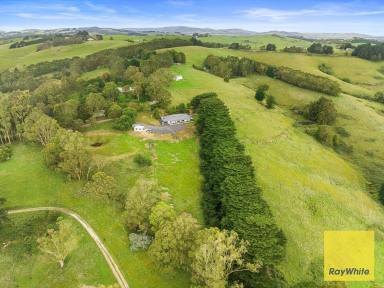 Acreage/Semi-rural For Sale - VIC - Foster - 3960 - Country Homestead with Acreage and Views  (Image 2)