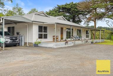 Acreage/Semi-rural For Sale - VIC - Foster - 3960 - Classic Homestead with leased acreage  (Image 2)