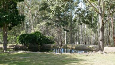House Leased - NSW - Drake - 2469 - RURAL LOCATION  (Image 2)