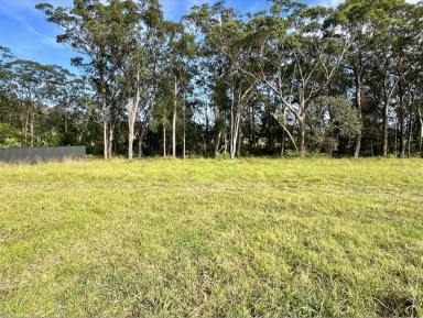 Residential Block For Sale - NSW - Shoalhaven Heads - 2535 - Vacant Land ready to build  (Image 2)