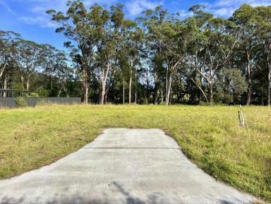 Residential Block For Sale - NSW - Shoalhaven Heads - 2535 - Vacant Land ready to build  (Image 2)