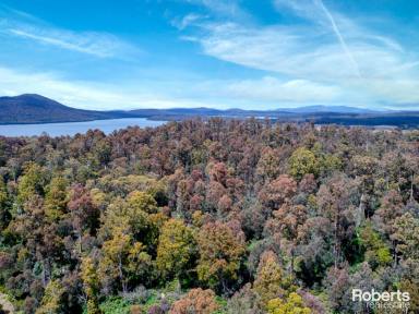 Residential Block Sold - TAS - Bradys Lake - 7140 - A lifetime opportunity, your own 54 acres, surrounded by lakes, in our breathtaking world renowned Central Highlands!  (Image 2)