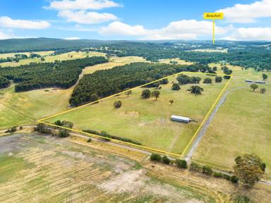 Residential Block Sold - VIC - Trawalla - 3373 - 8.565HA (21.12 Acres) - Much Improved & Selling With A Current & Approved Planning Permit!  (Image 2)