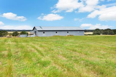 Residential Block Sold - VIC - Trawalla - 3373 - 8.565HA (21.12 Acres) - Much Improved & Selling With A Current & Approved Planning Permit!  (Image 2)
