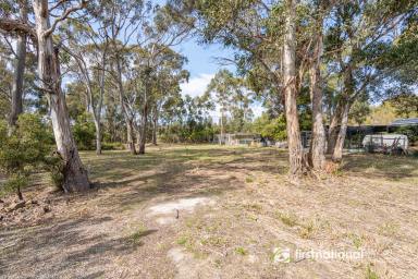 Residential Block For Sale - TAS - Great Bay - 7150 - Idyllic Coastal Block with Close Beach Access!  (Image 2)