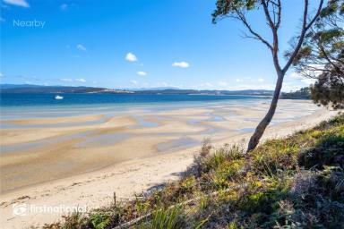 Residential Block For Sale - TAS - Great Bay - 7150 - Idyllic Coastal Block with Close Beach Access!  (Image 2)