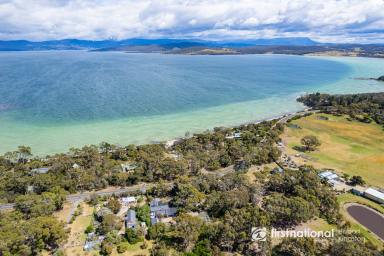 Residential Block For Sale - TAS - Great Bay - 7150 - Opposite Stunning Great Bay Beach!  (Image 2)