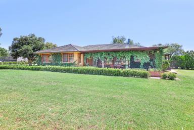 Lifestyle Sold - NSW - Tamworth - 2340 - FIRST CLASS EQUINE PROPERTY  (Image 2)